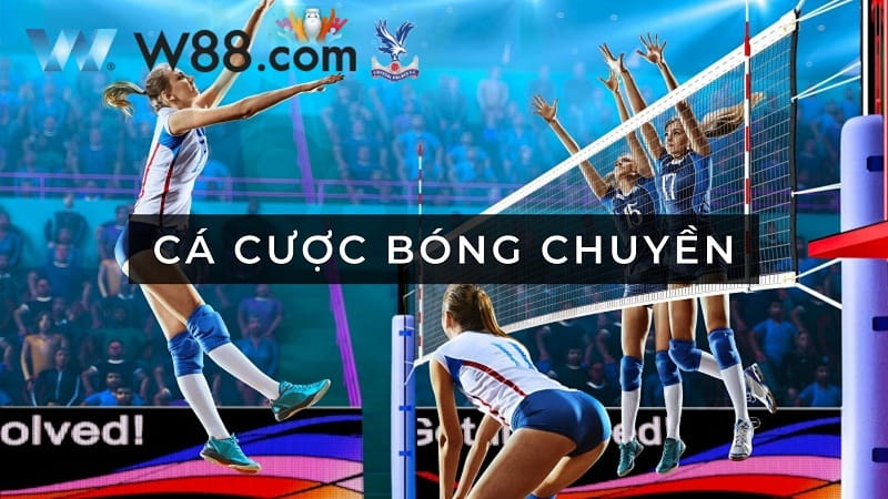 cá cược bóng chuyền W88