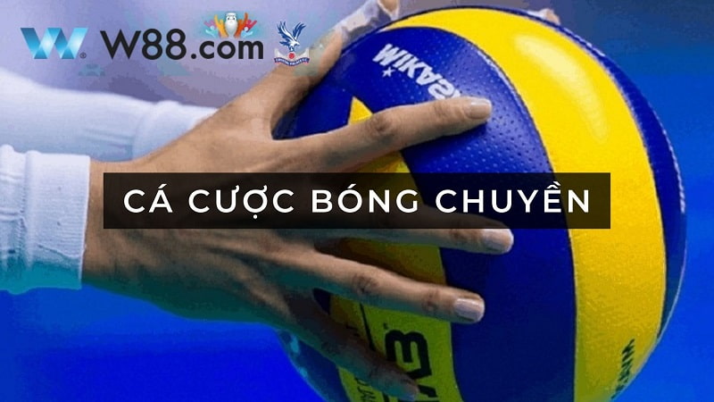 cá cược bóng chuyền W88